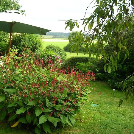 la Maison des Aubées Bed and Breakfast Rémalard Exterior foto