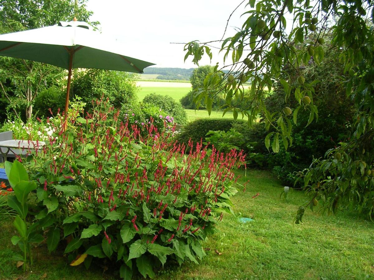 la Maison des Aubées Bed and Breakfast Rémalard Exterior foto